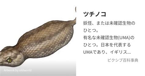 つちのこちんこ|【UMA】ツチノコの正体は！ツチノコの歴史・分布と目撃情報。